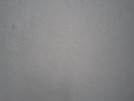 Mediterranean grey